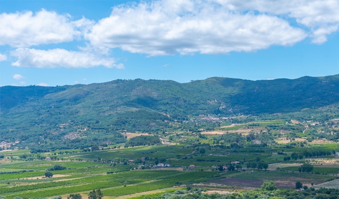 vinhos da beira interior